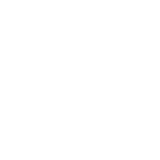 Shopping Bag 1 1