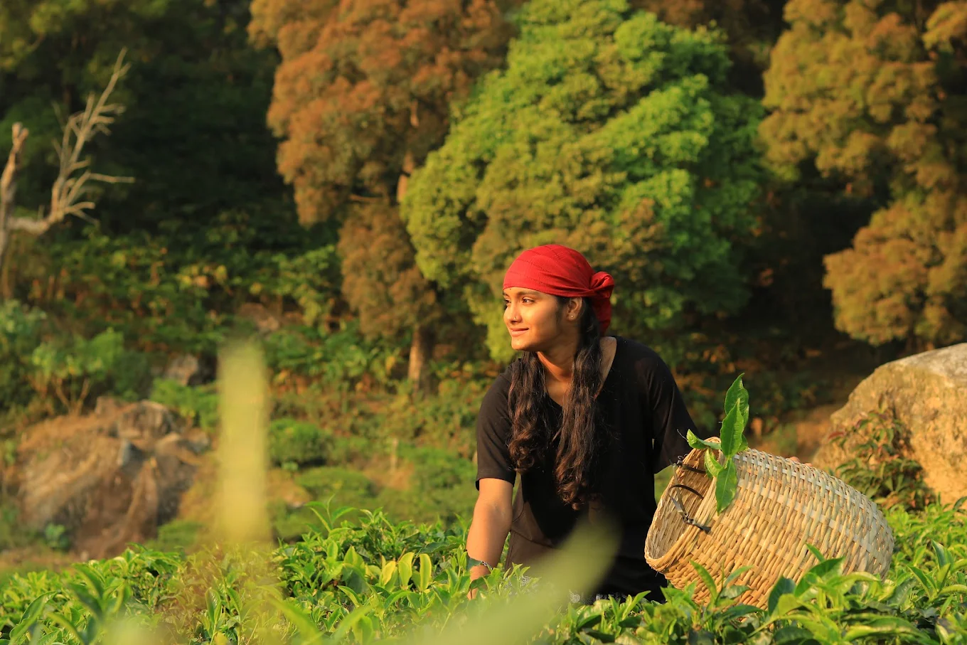 MunnarVisual tales photography